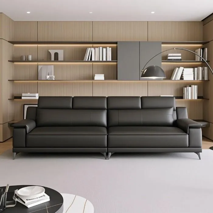 Modern Minimalist Black Couch